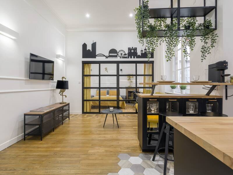 Maison à louer, 37m², LYON 1ER