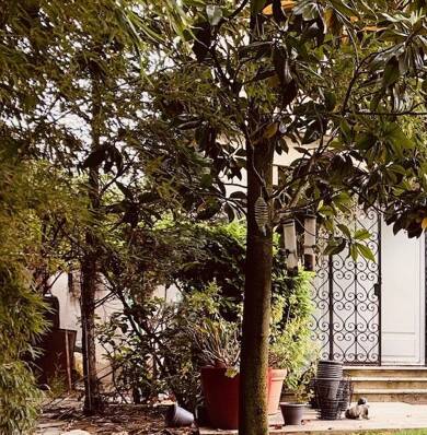 Maison à vendre 2 810 000 € 4 pièces 5 chambres 177,5 m² 73 m² de terrain La Plaine des Sablons Neuilly-sur-Seine 92200