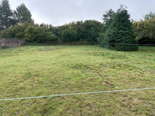 Terrain à vendre 17 500 € 513 m² de terrain Dabo 57850