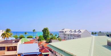 Appartement en viager libre Bouquet 96 960 € 2 pièces 2 chambres 79 m² Étage 3/3 Sainte-Anne 97180