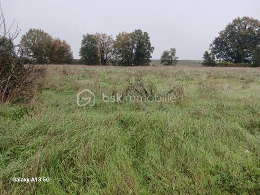Terrain constructible à vendre 43 000 € 2 590 m² de terrain Doussay 86140