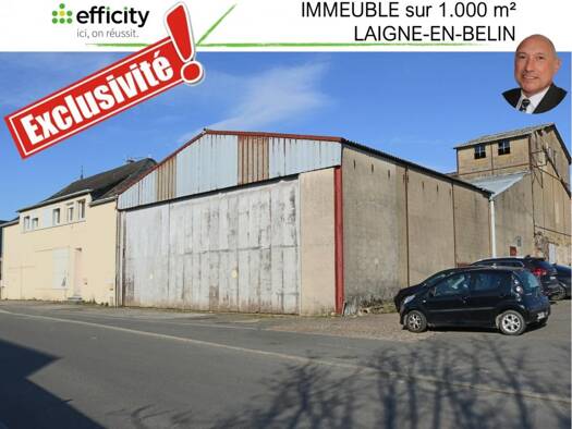 Immeuble à vendre 375 000 € 1 000 m² Laigné-Saint-Gervais 72220