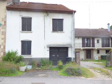 Maison à vendre 18 000 € 4 pièces 2 chambres 100 m² 600 m² de terrain Magnieres 54129