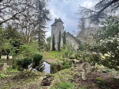 Château à vendre 684 900 € 4 pièces 3 chambres 320 m² 2 955 m² de terrain Azay-sur-Cher 37270