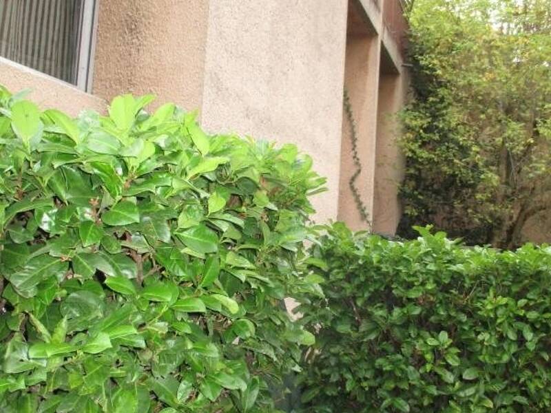 Maison à louer, 25m², TOULOUSE