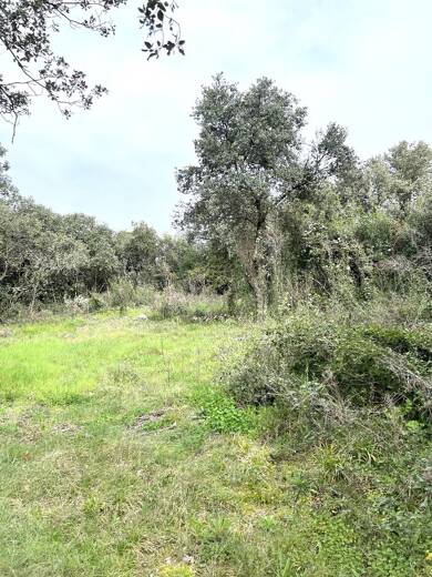 Terrain constructible à vendre 256 000 € 320 m² de terrain Saint Bres 34670