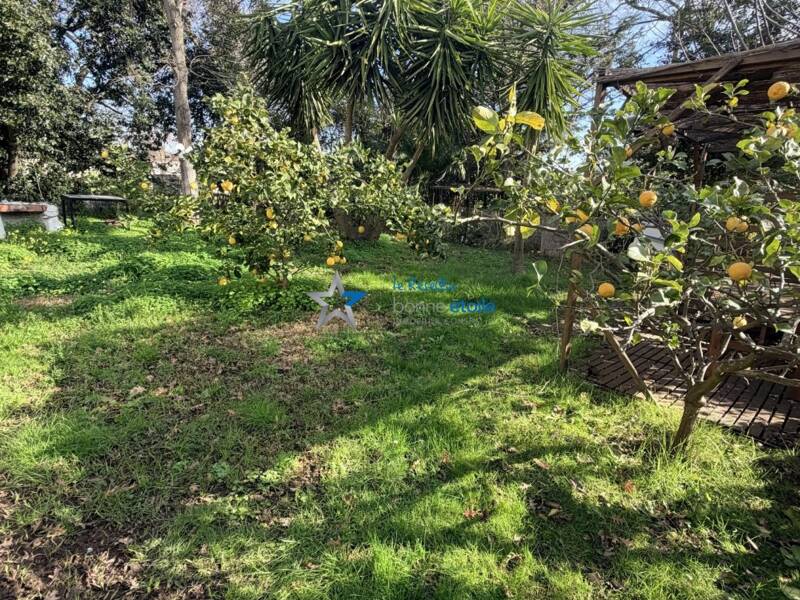 Maison à vendre, 217m², SANTA LUCIA DI MORIANI