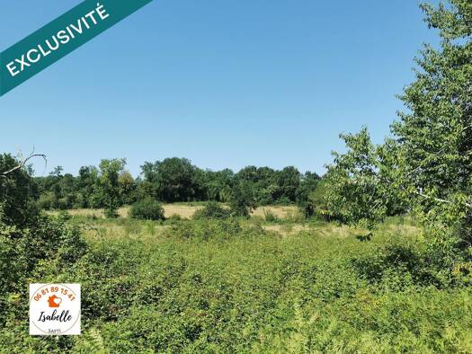 Terrain à vendre 80 000 € 197 050 m² de terrain Castelnau d'Auzan Labarrère 32440
