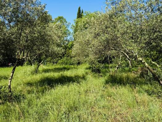 Terrain constructible à vendre 82 500 € 550 m² de terrain Saint-Hippolyte-du-Fort 30170