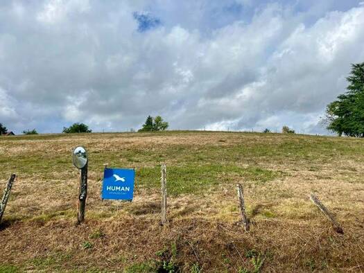 Terrain constructible à vendre 13 000 € 2 475 m² de terrain Arnac-Pompadour 19230
