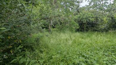 Terrain à vendre 107 000 € 766 m² de terrain Magne 79460