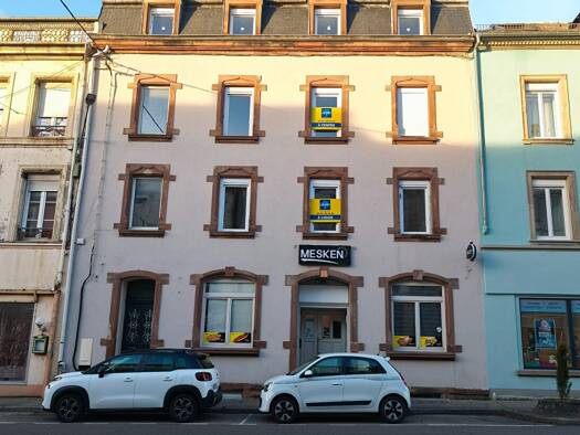 Immeuble à vendre 369 500 € 230 m² Centre Ville Sarrebourg 57400