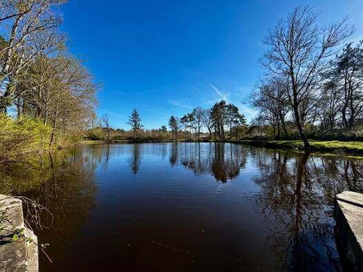 Propriété de loisirs à vendre 54 990 € Langon-sur-Cher 41320