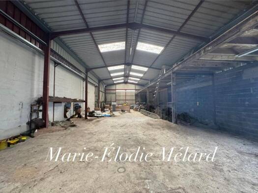 Immeuble à vendre 85 000 € 239 m² Longuyon 54260