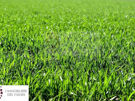 Terrain constructible viabilisé à vendre 205 000 € 1 400 m² de terrain La Brède 33650