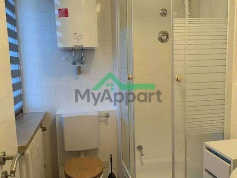 Maison à louer, 19m², LYON 5E