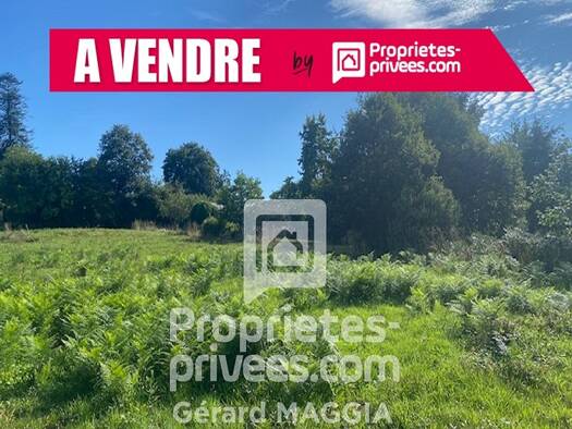 Terrain à vendre 92 290 € 910 m² de terrain Saint-Guyomard 56460