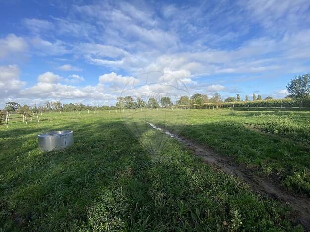 Terrain à vendre 148 000 € 21 430 m² de terrain Saint-Sulpice-de-Royan 17200