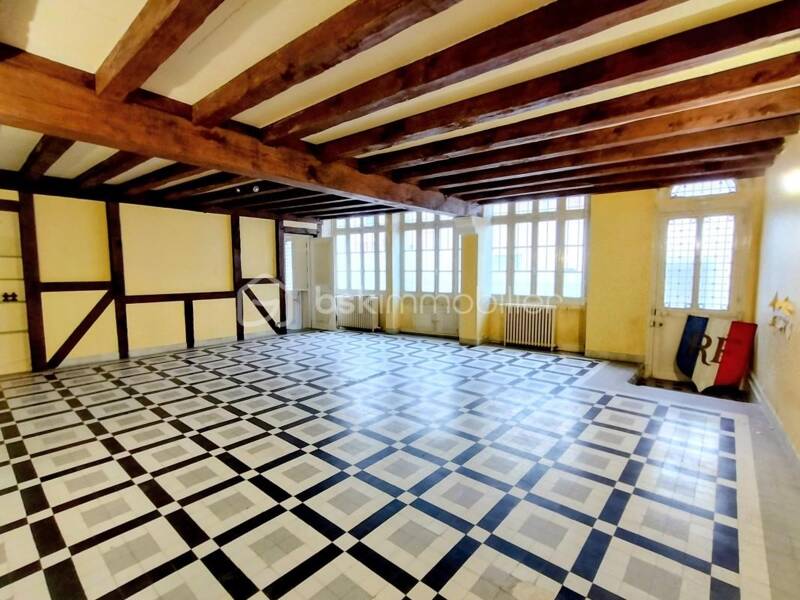 Maison à vendre, 270m², SAINTE MAURE DE TOURAINE