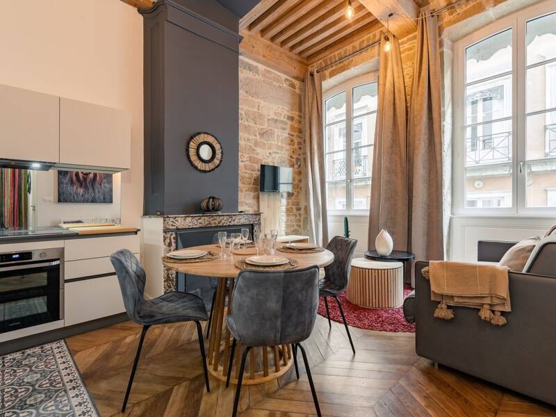 Maison à louer, 45m², LYON 1ER