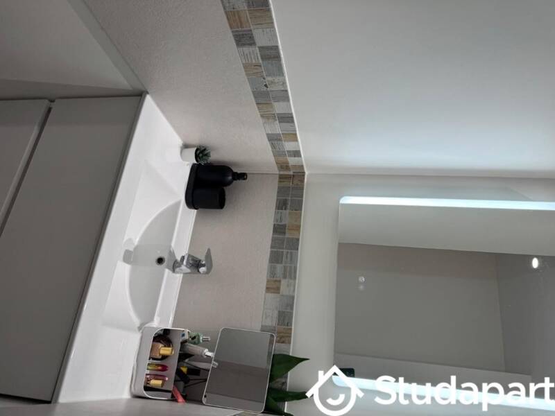 Maison à louer, 27m², LYON 6E