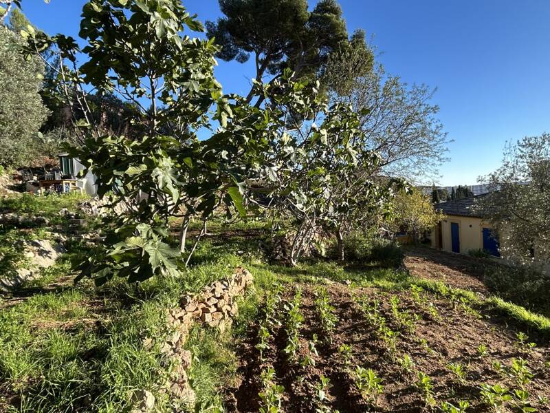 Maison à vendre, 260m², TOULON