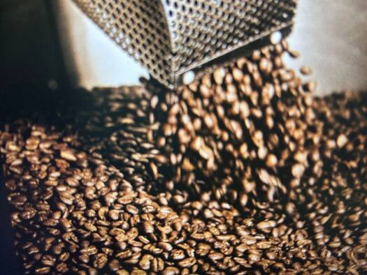 Boutique à vendre Fonds de commerce 249 000 € 255 m² de surface de vente Centre-Hôtel de Ville Limoges 87000