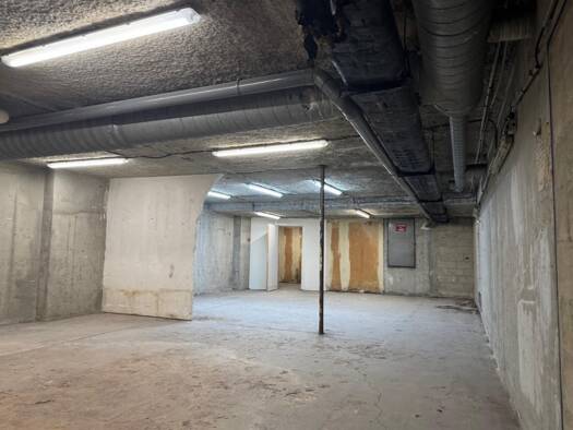 Entrepôt à louer 1 700 € 131 m² d'espace de stockage Les Juilliottes Maisons-Alfort 94700