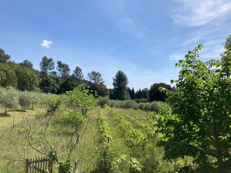 Maison à louer, 150m², LE THOLONET