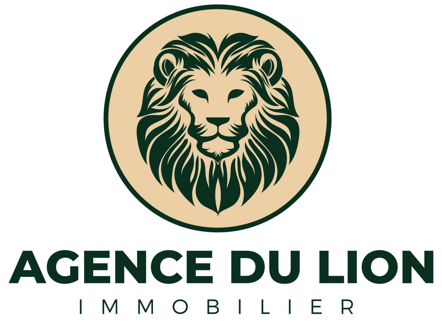 AGENCE DU LION