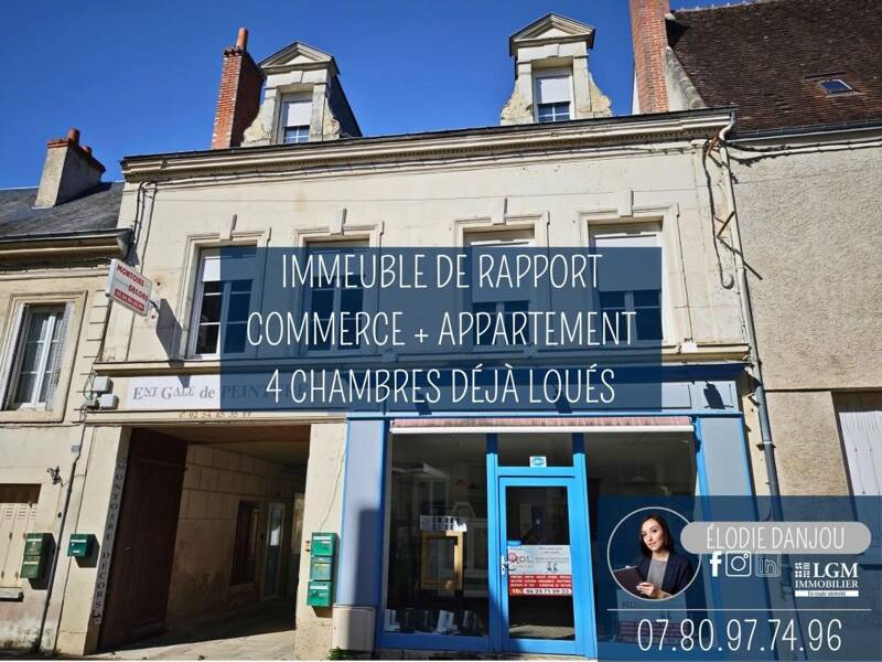Maison à vendre, 223m², MONTOIRE SUR LE LOIR