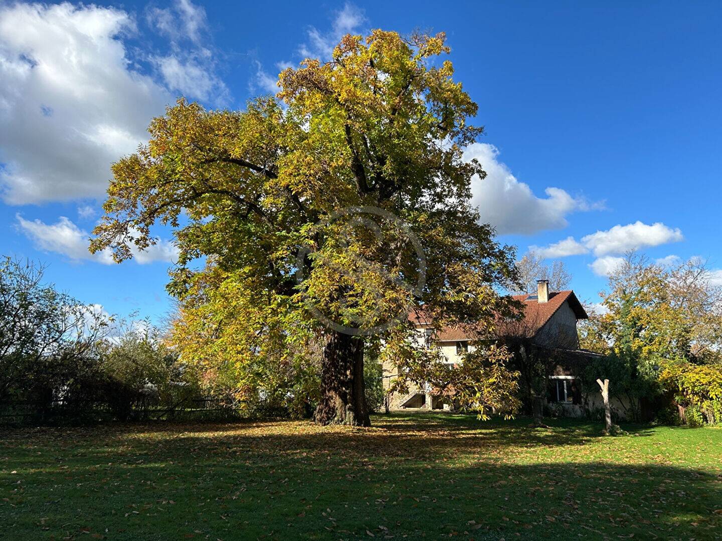 Maison à vendre, 250m², SAINT SIMEON DE BRESSIEUX