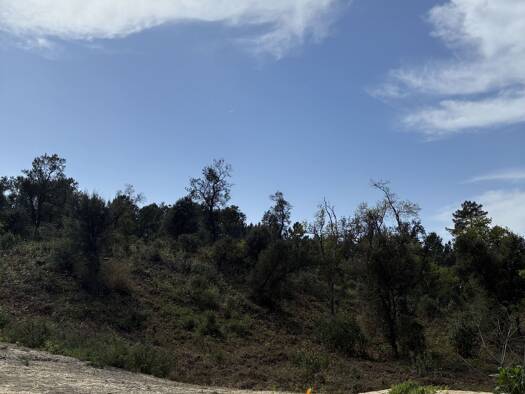 Terrain constructible à vendre 335 000 € 569 m² de terrain Labenne 40530