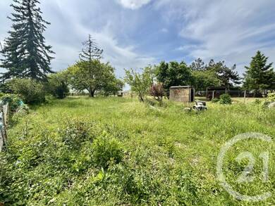 Terrain viabilisé à vendre 45 000 € 777 m² de terrain Briarres sur Essonne 45390