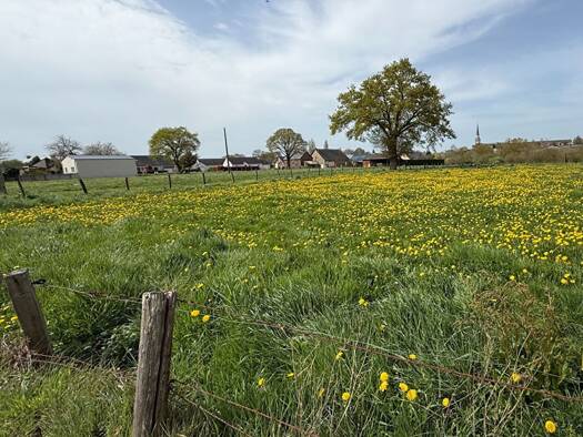 Terrain à vendre 59 750 € 3 265 m² de terrain Issé 44520