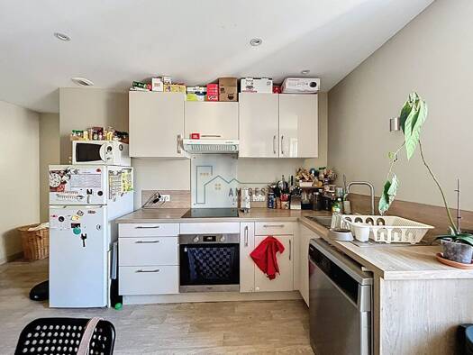 Appartement à louer 550 € 3 pièces 2 chambres 53 m² Étage 1/2 Rive Gauche Aixe-sur-Vienne 87700