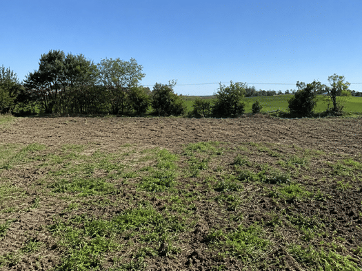 Terrain constructible à vendre 120 000 € 715 m² de terrain Thairé 17290
