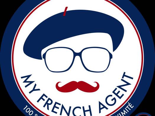 Terrain constructible viabilisé à vendre 72 500 € 375 m² de terrain Amboise 37400