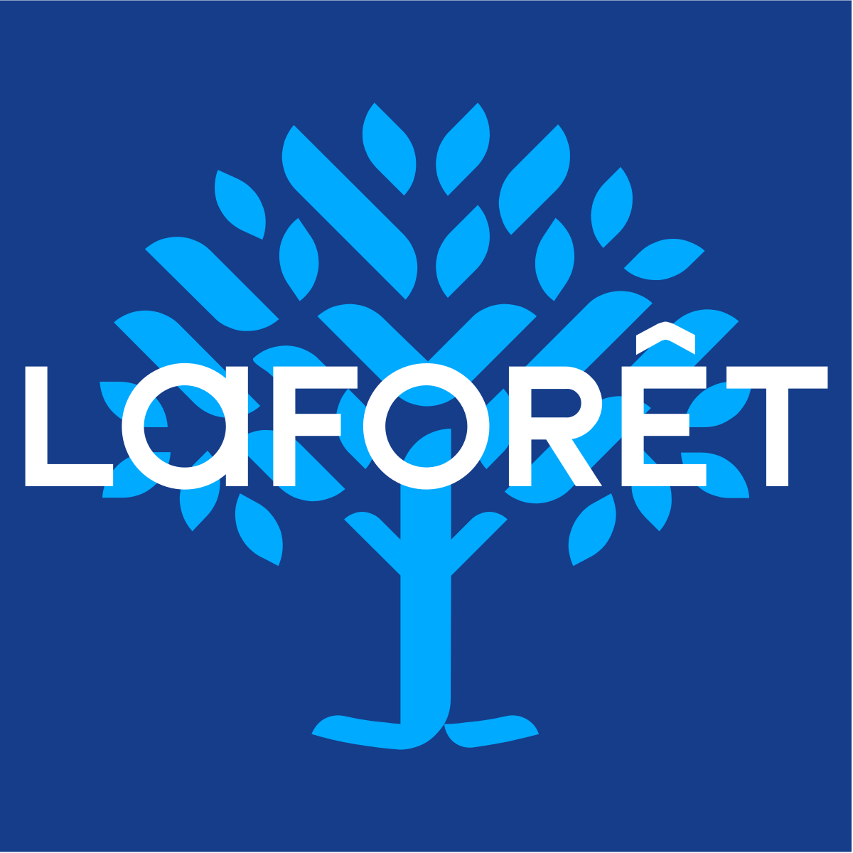 LAFORET IMMOBILIER LE VESINET