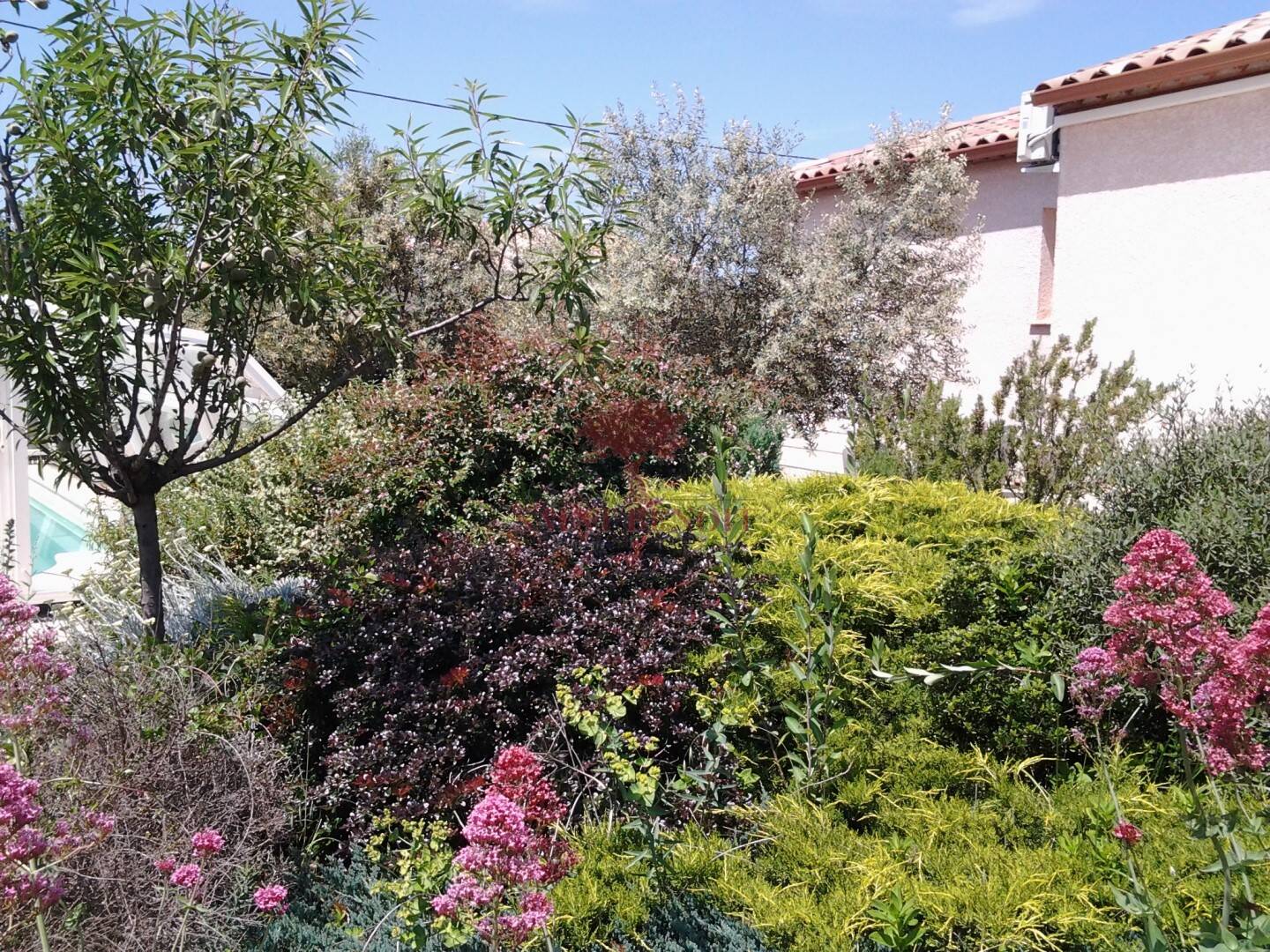 Maison à vendre, 176m², SAINT JEAN DE FOS