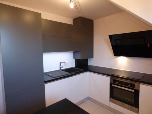 Appartement à louer 960 € 3 pièces 2 chambres 63,3 m² Étage 2/2 Bartenheim 68870