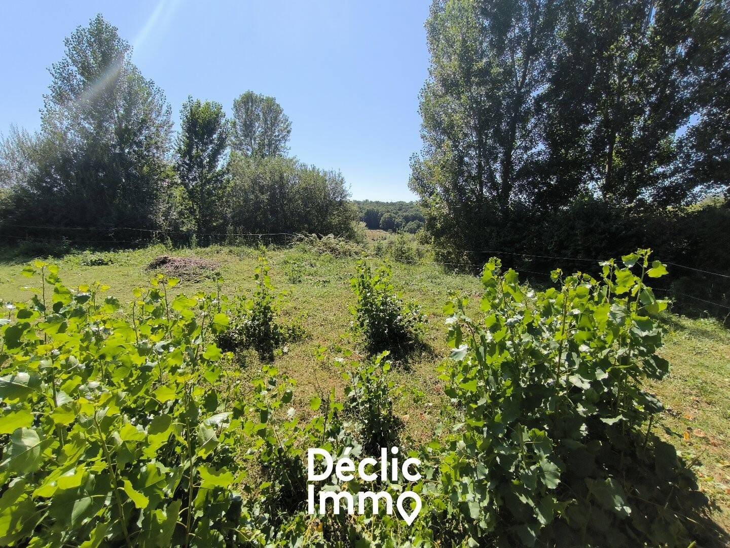 Maison à vendre, 180m², LA SALVETAT BELMONTET