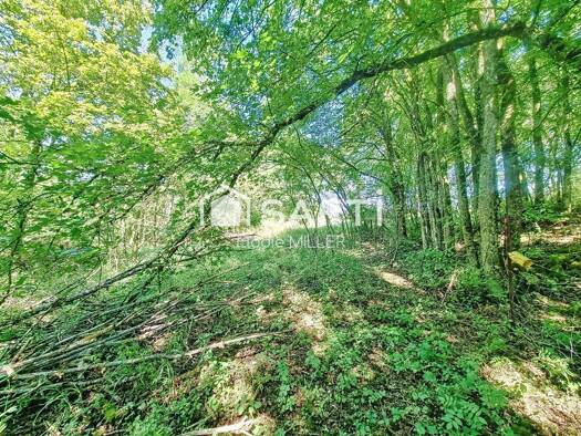 Terrain à vendre 3 500 € 2 593 m² de terrain Pulligny 54160