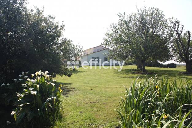 Maison à vendre 479 000 € 7 pièces 4 chambres 175 m² 10 454 m² de terrain Meursac 17120