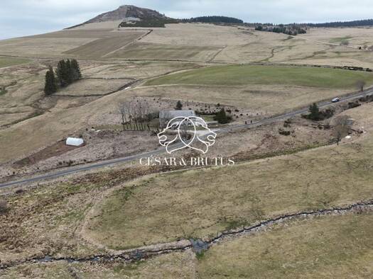 Maison à vendre 359 900 € 5 pièces 3 chambres 226 m² 4 331 m² de terrain Saint-Front 43550