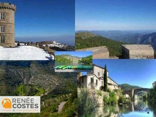 Maison en viager occupé Bouquet 29 595 € 3 pièces 2 chambres 97 m² 334 m² de terrain Est Le Vigan 30120