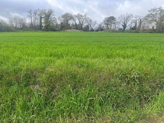 Terrain constructible à vendre 84 320 € 364 m² de terrain Nostang 56690