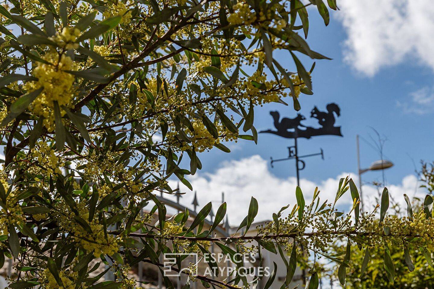Maison à vendre, 73m², SAINT GEORGES D'OLERON