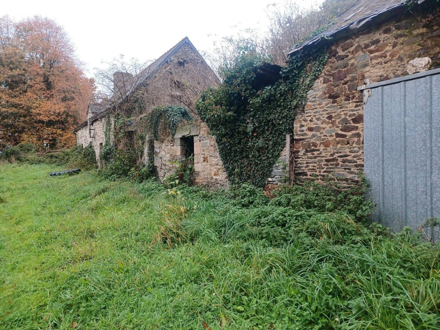 Maison à vendre, 200m², SAINT THURIAU
