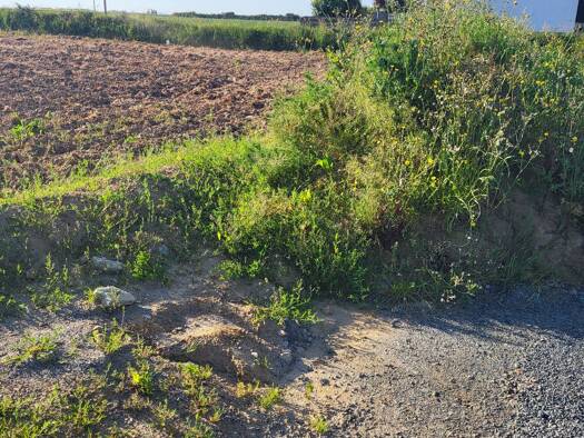 Terrain constructible viabilisé à vendre 40 750 € 335 m² de terrain Plouénan 29420